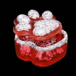 Boîte de Rangement Patte de Chien en Résine Époxy – Originale et Personnalisable rouge