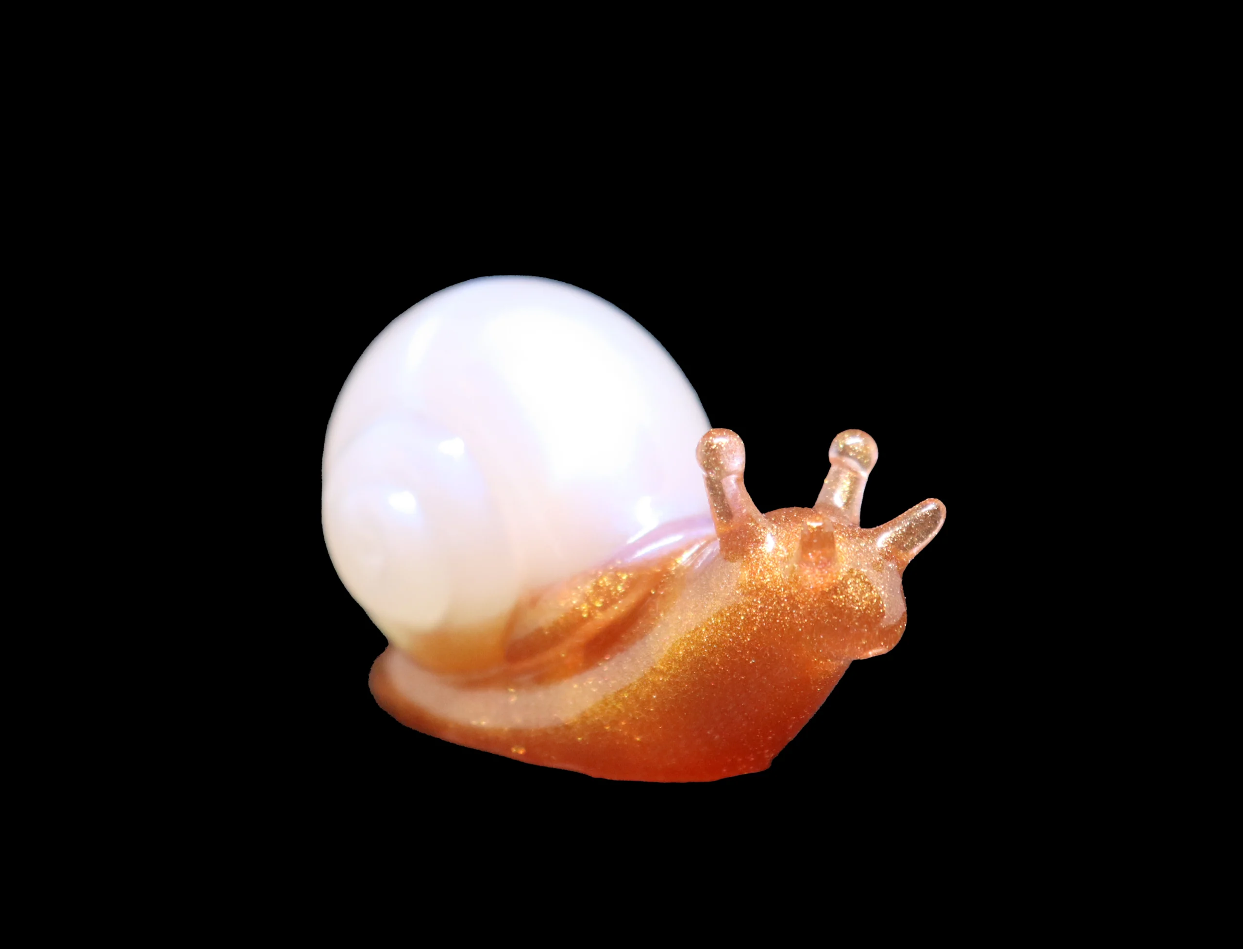 escargot blanc brun escargot blanc brun