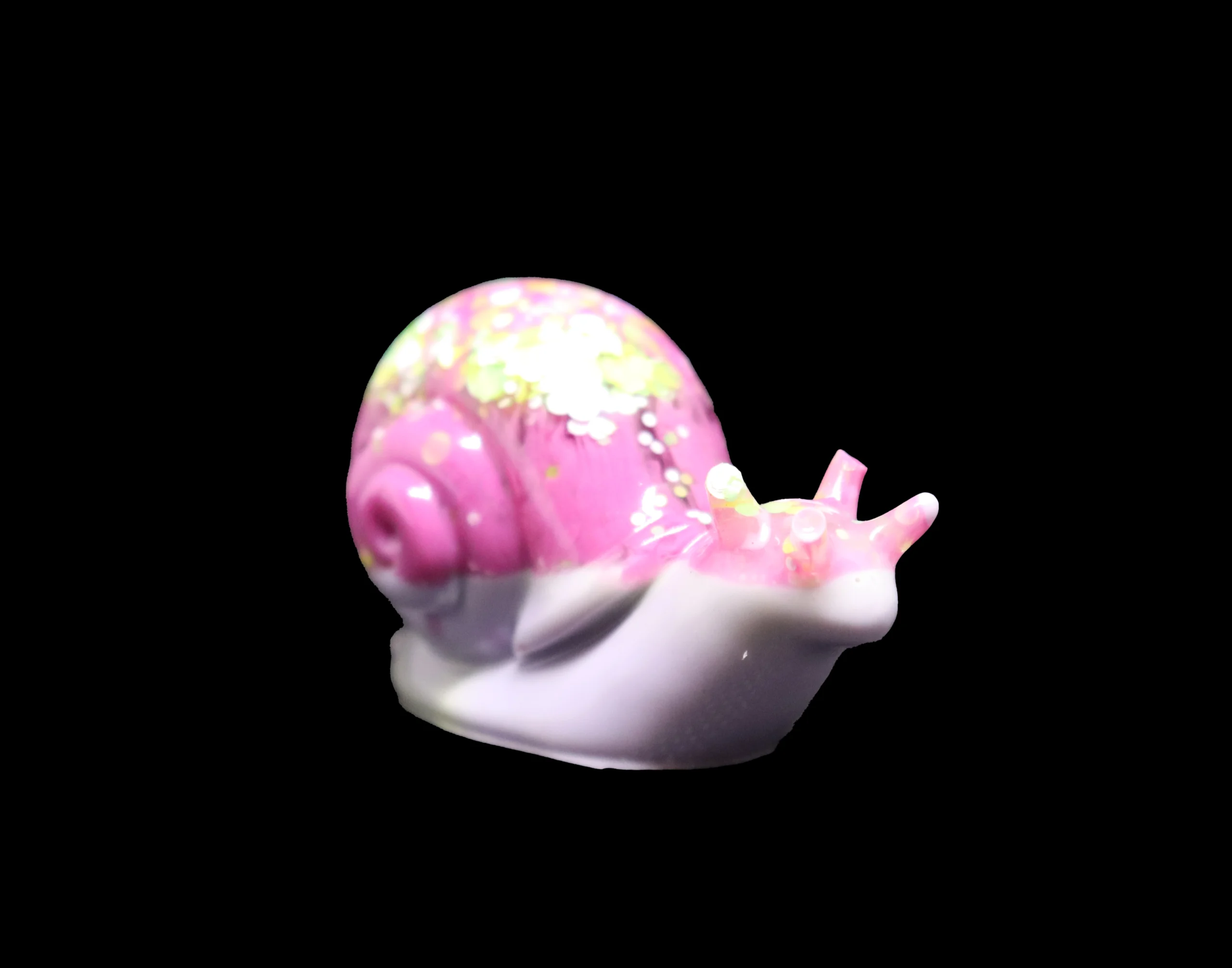 escargot blanc rose escargot blanc rose