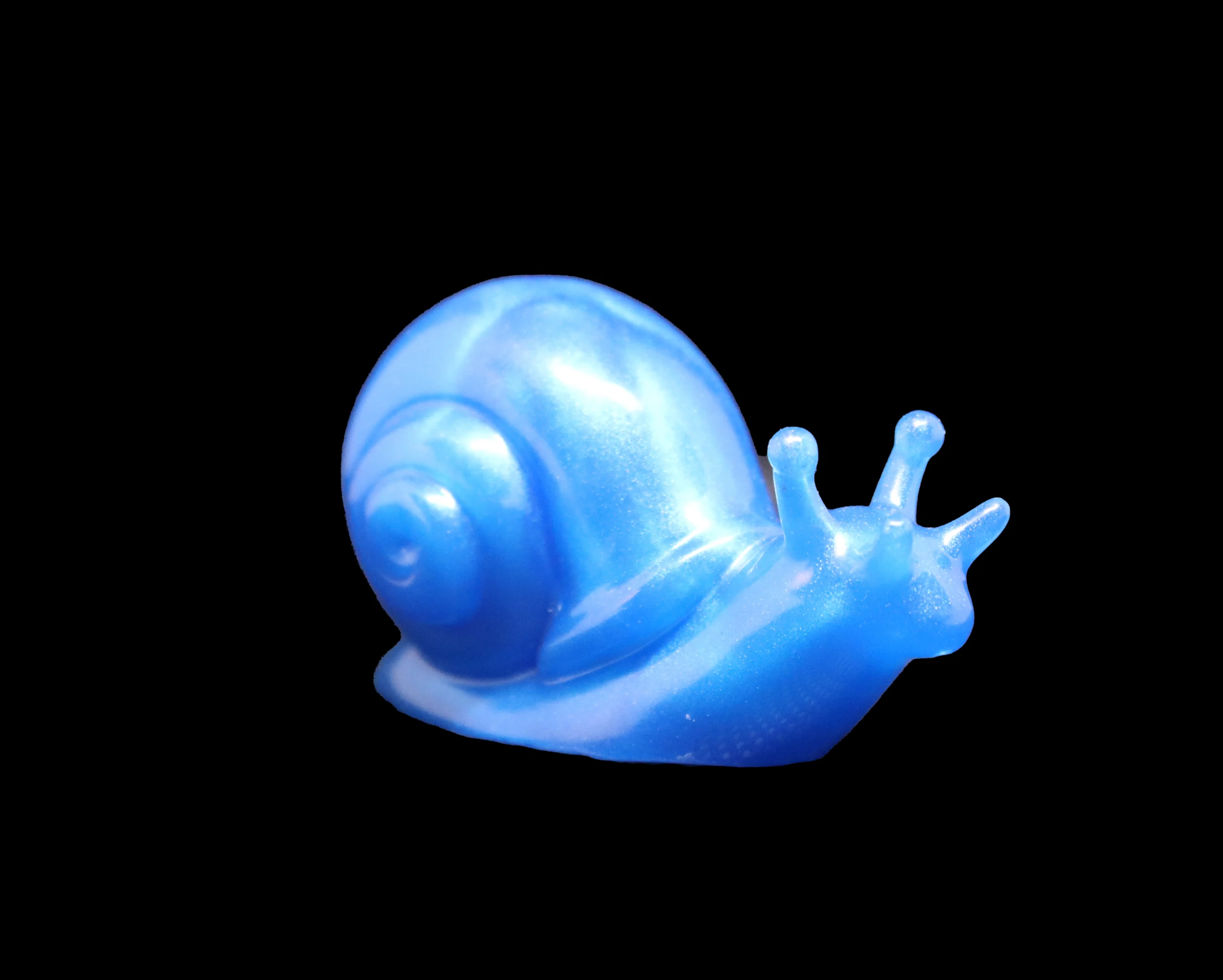 escargot bleu escargot bleu