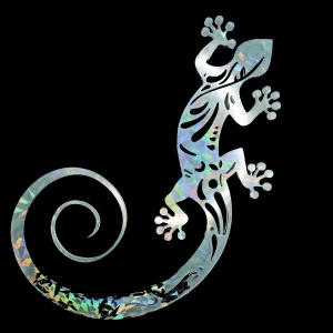 salamandre multicouleurs2