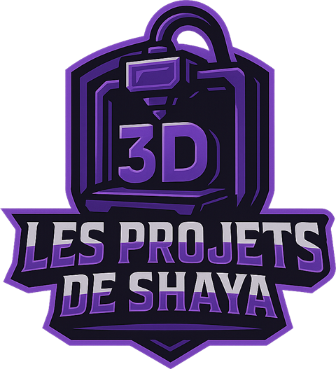 Les projets de Shaya